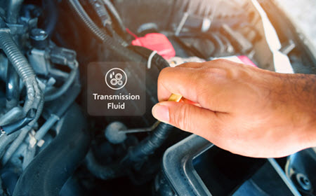 Mercedes Transmission Fluid Check